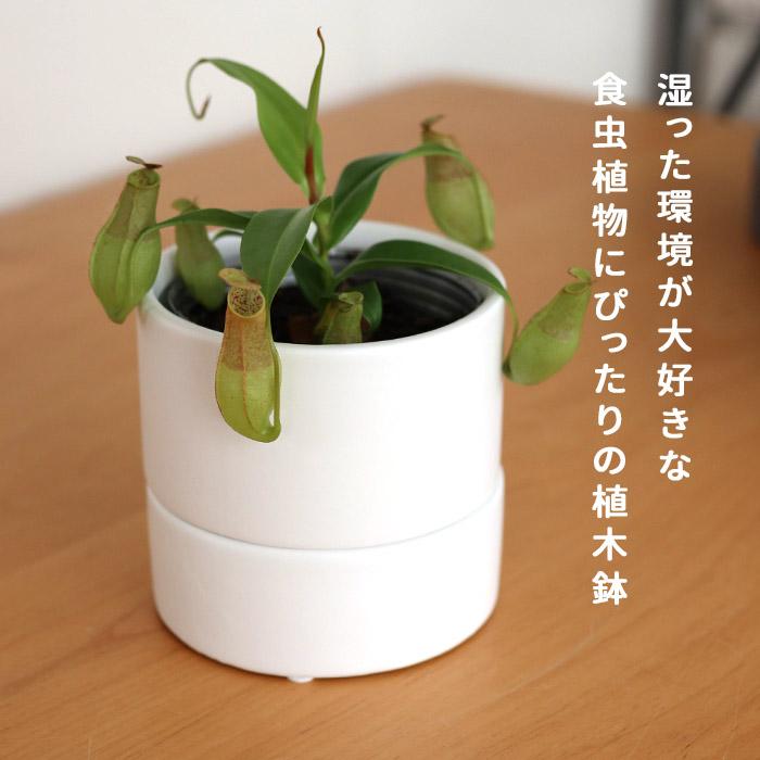 カラーが選べる植木鉢 すーさん Mサイズ 資 PP-0255-M 3号 受皿付 陶器
