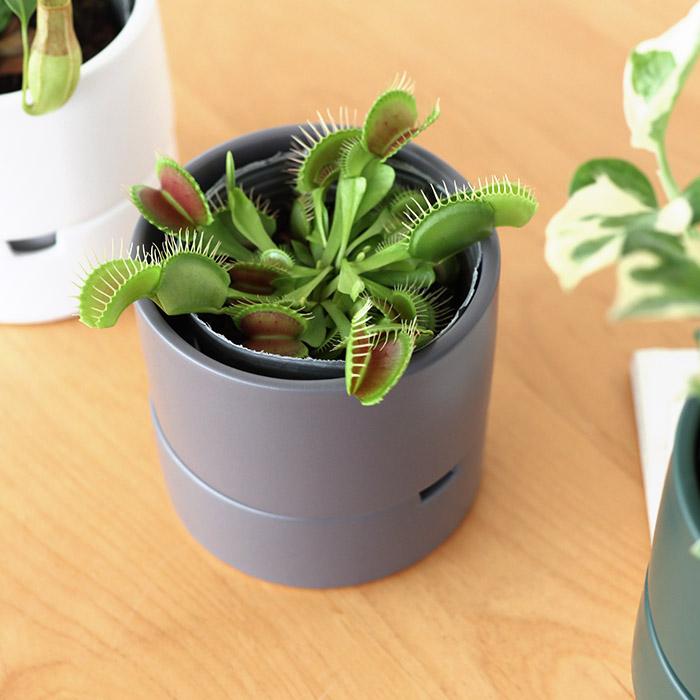 L, Mサイズ 2セット植木鉢 陶器 ose_thumbnail_11.jpg