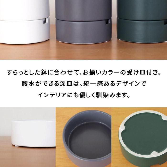 AOBOUZU セラミック植木鉢 【3周年記念】Lサイズ 青坊主3周年記念グラ専鉢【VALIEM別注】 | 青坊主-aobouzu