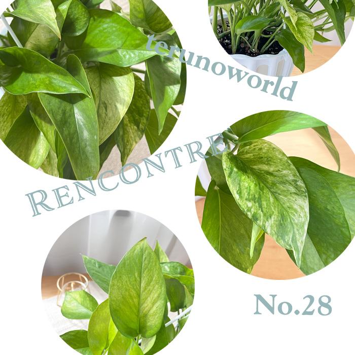 *～INFINITE〜*【現品・希少】　ポトステルノシリーズ６点セット INFINITE〜*【現品・希少】 ポトステルノシリーズ6点セット