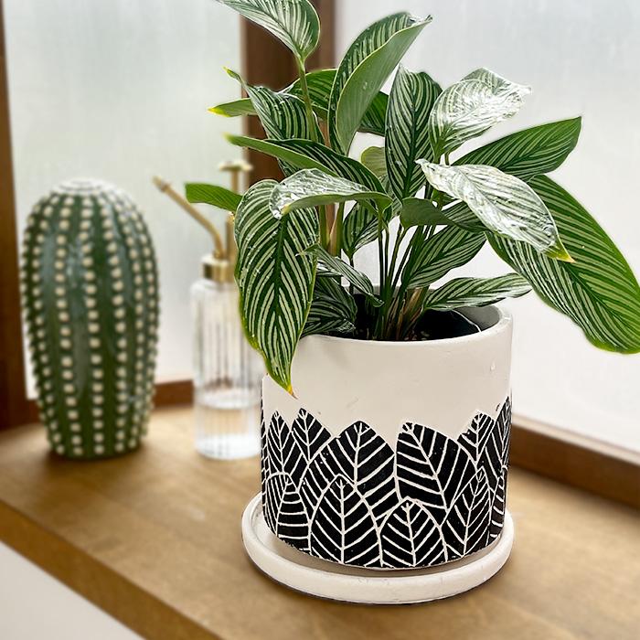 資 植木鉢 KL67BK ブルーメポットD L ブラック 4号 底穴あり おしゃれ