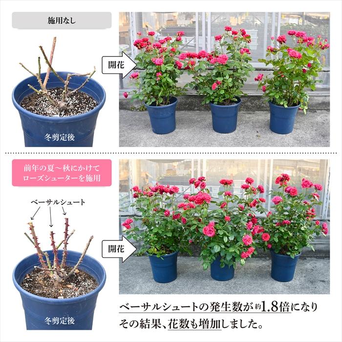 資 ローズシューター 500ml バラ専用 肥料 フルボ酸活力液肥 アミノ酸
