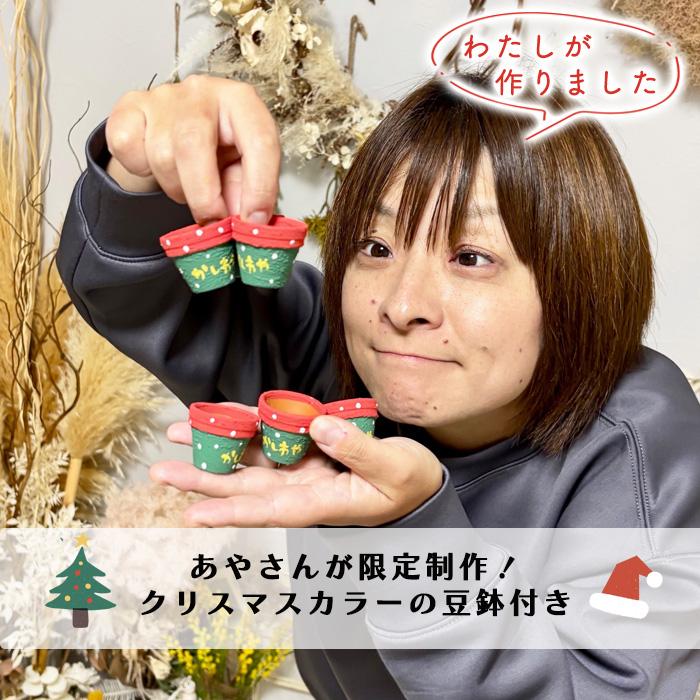 日本花キ流通 予約販売 多肉植物 kswエケベリア 柏屋商店さん苗5個