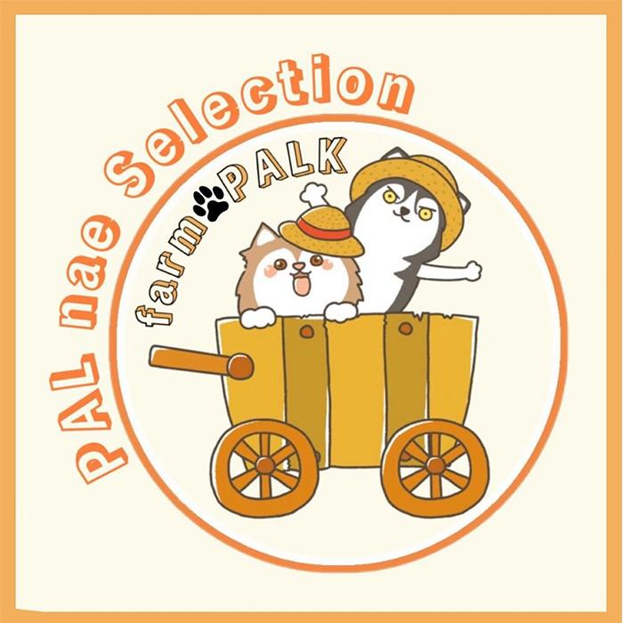 予約販売】 多肉植物 PAL nae セレクション No.014 バレンタインベアー