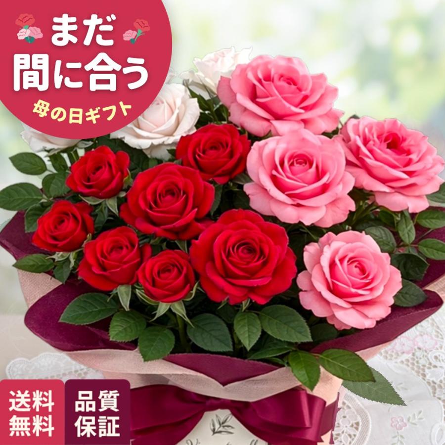 日本花キ流通 母の日 ギフト 花 ミニバラ トリコロールレッド 5号鉢