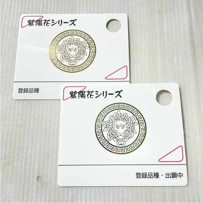 予約販売 アジサイ 風花雪月 9cmポット フウカセツゲツ 登録申請