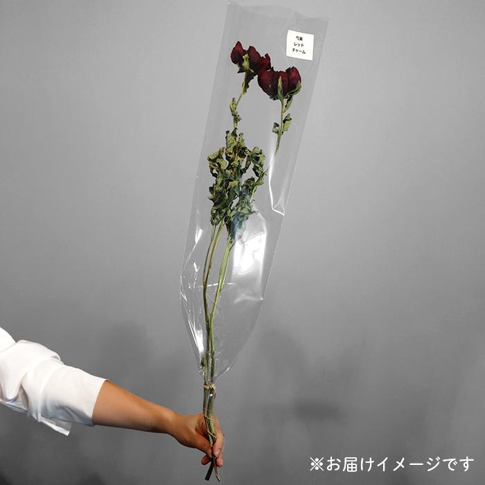 日本花キ流通 ドライフラワー 芍薬 シャクヤク レッドチャーム 2本入り