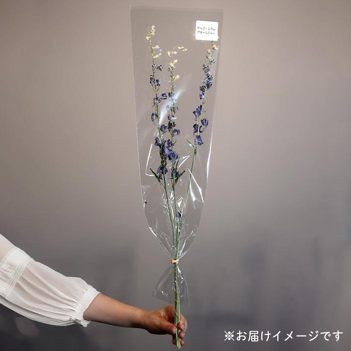 日本花キ流通 ドライフラワー デルフィニウム アズールブルー 3本入り