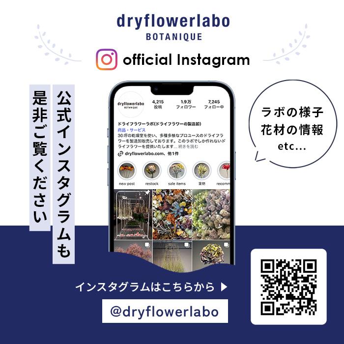 日本花キ流通 選べるドライフラワー スワッグ Sサイズ 送料無料
