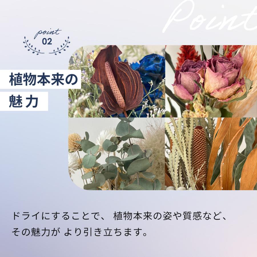 日本花キ流通 選べるドライフラワー スワッグ Sサイズ 送料無料
