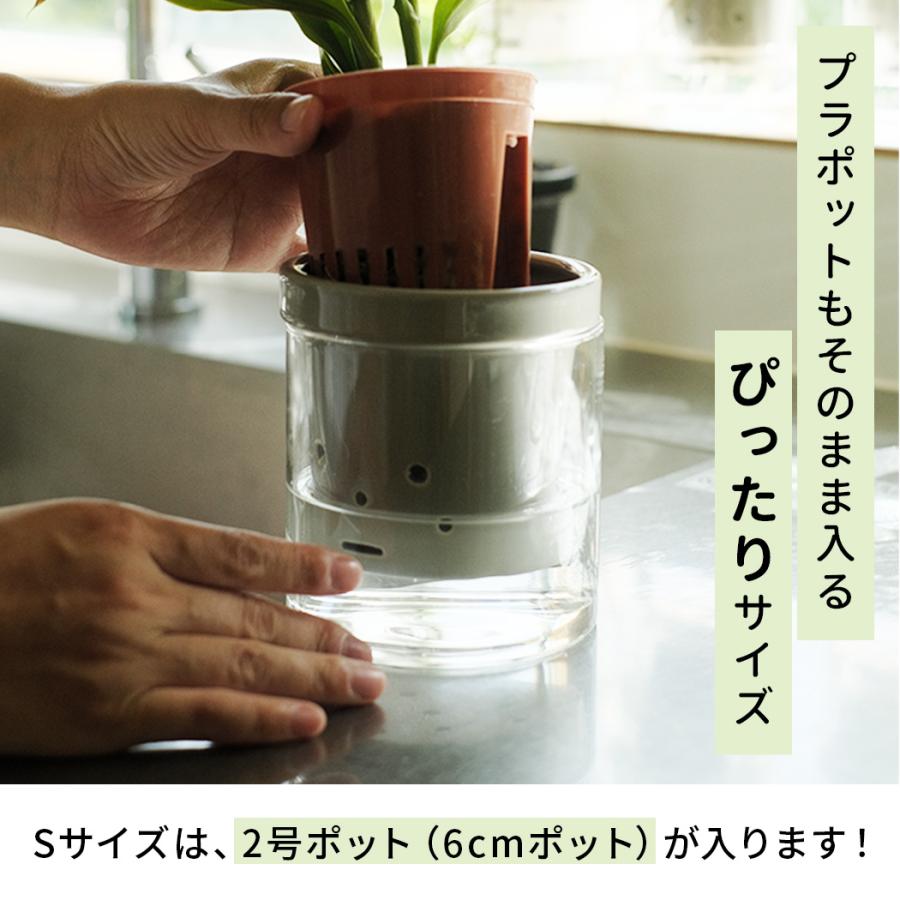 カラーが選べる植木鉢 根っこさん Sサイズ 資 PP-0256S 2号 ガラス