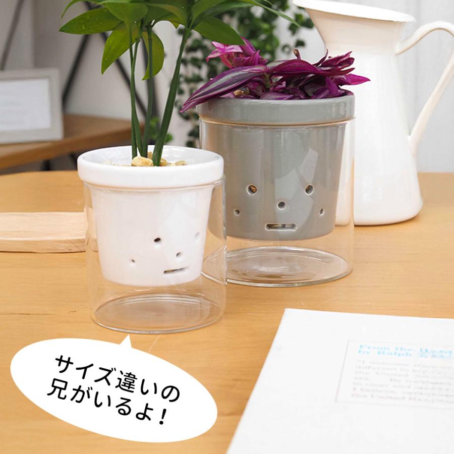 カラーが選べる植木鉢 根っこさん Sサイズ 資 PP-0256S 2号 ガラス