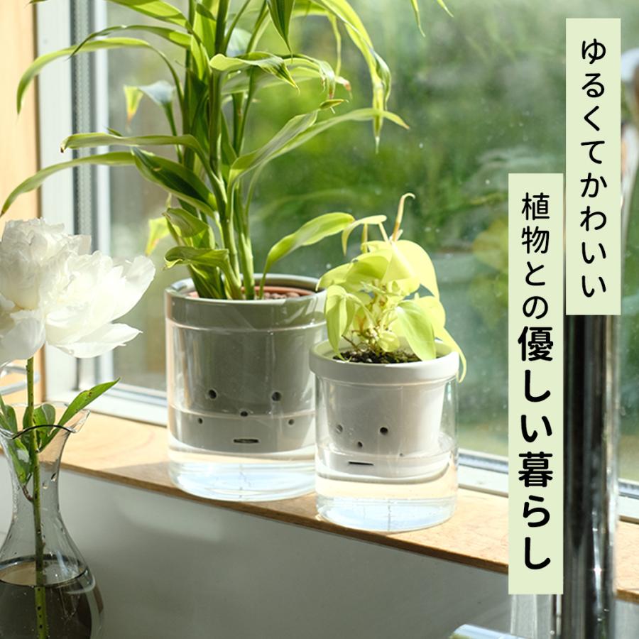 カラーが選べる植木鉢 根っこさん Sサイズ 資 PP-0256S 2号 ガラス