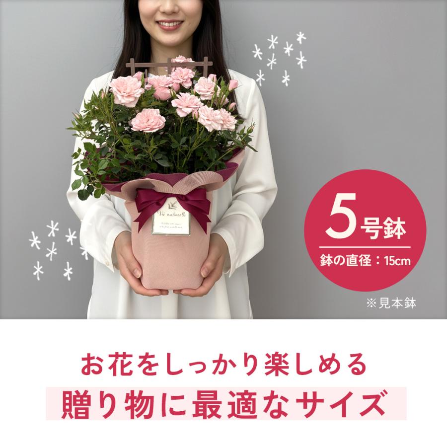 花薔薇のレースの卓上パーテーションミニ3連 薔薇のハート形フラワーケーキ(チーズケーキ味) | Candy MERU