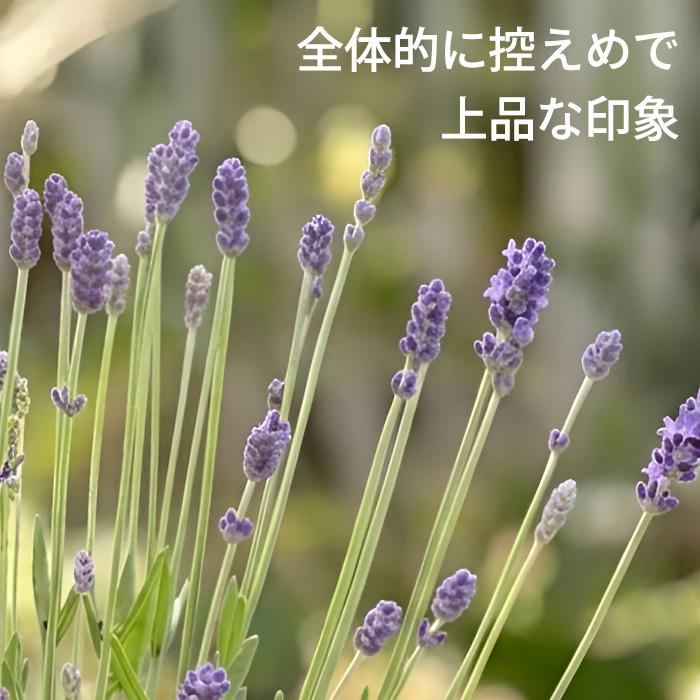 日本花キ流通 予約販売 ラベンダー 苗 フラノ3号 5号鉢 イングリッシュ