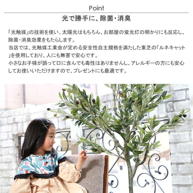 フェイクグリーン オリーブ 5号鉢 高さ115cm オリーブの木 光触媒 観葉