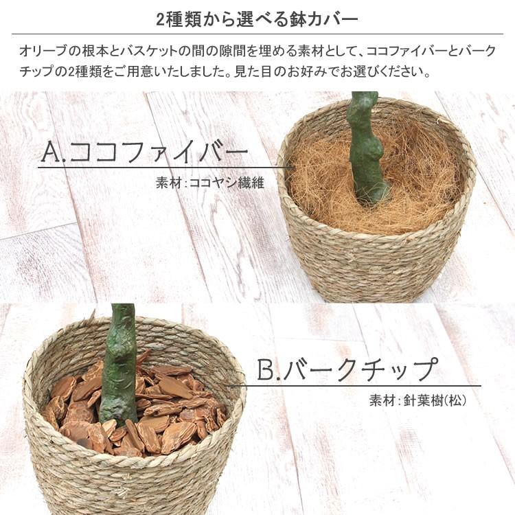 フェイクグリーン オリーブ 5号鉢 高さ115cm オリーブの木 光触媒 観葉
