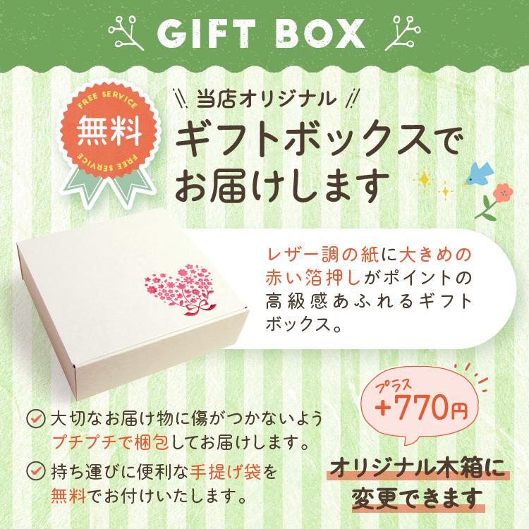 6重ガーゼケット 出産祝い 名入れ刺繍 日本製 6重織ガーゼ ケット 三河