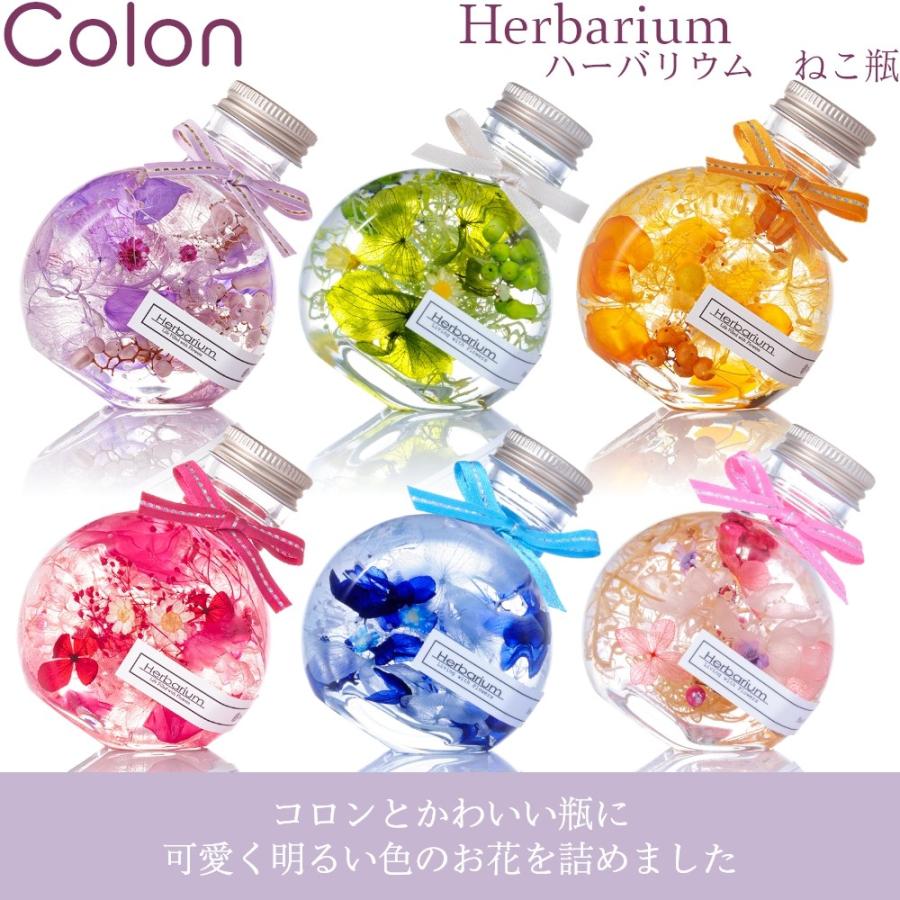 ギフト コロンと可愛い ハーバリウム ねこ瓶 全6色(ピンク