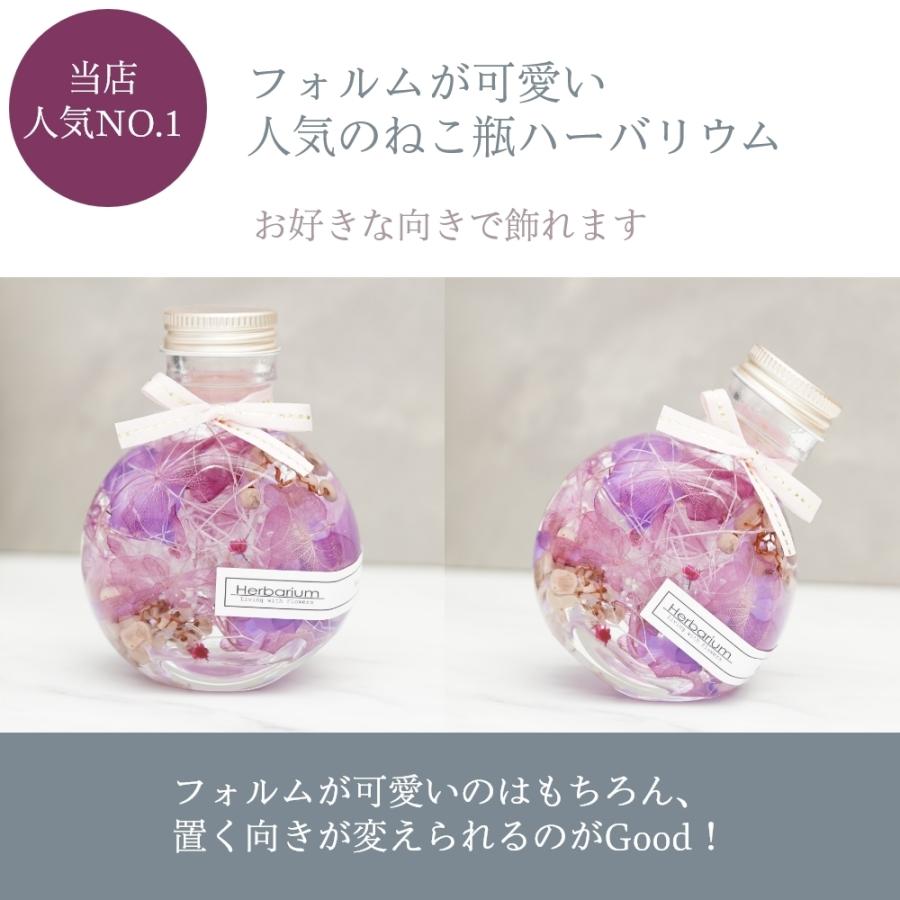 コロンと可愛い ハーバリウム ねこ瓶タイプ 全6色からお好きに選べる1 