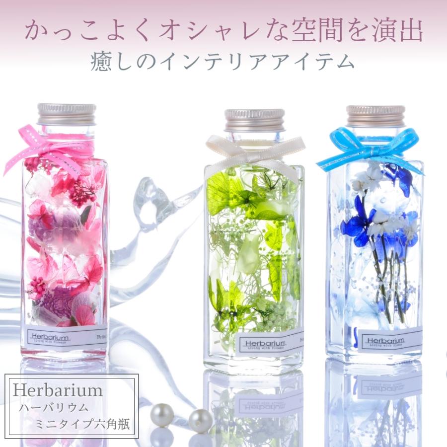 小さいサイズのハーバリウム 六角瓶 全3色(青 緑 ピンク) / 誕生 小さいサイズのハーバリウム 六角瓶 全3色(青 緑 ピンク) / 誕生