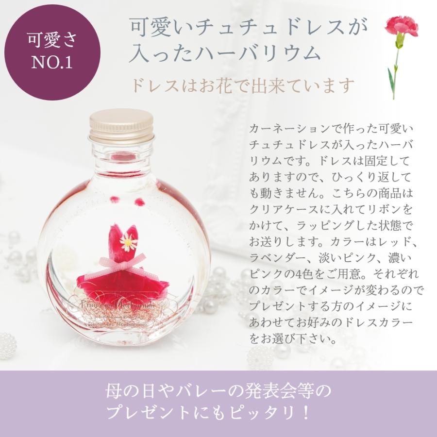 カーネーション ハーバリウム チュチュドレス 全4色 バレエ ギフト
