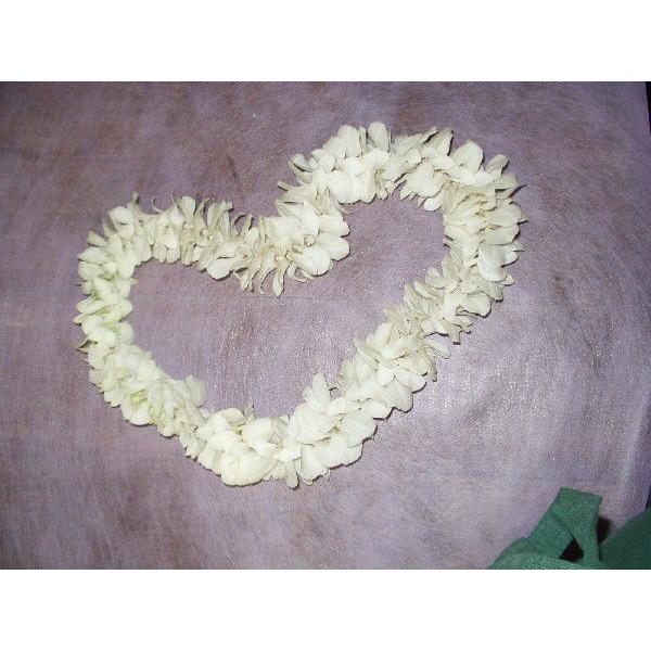 新着商品 デンファレのフラワーレイ 生花のフラワーレイ 新発売の Kwsrbd Com