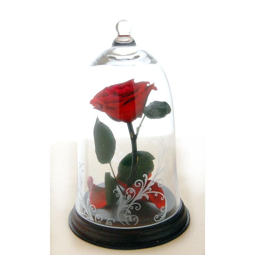 バラの保存プリザーブドフラワー 美女と野獣ガラスドーム K002 87co ハナコドットフラワー 通販 Yahoo ショッピング