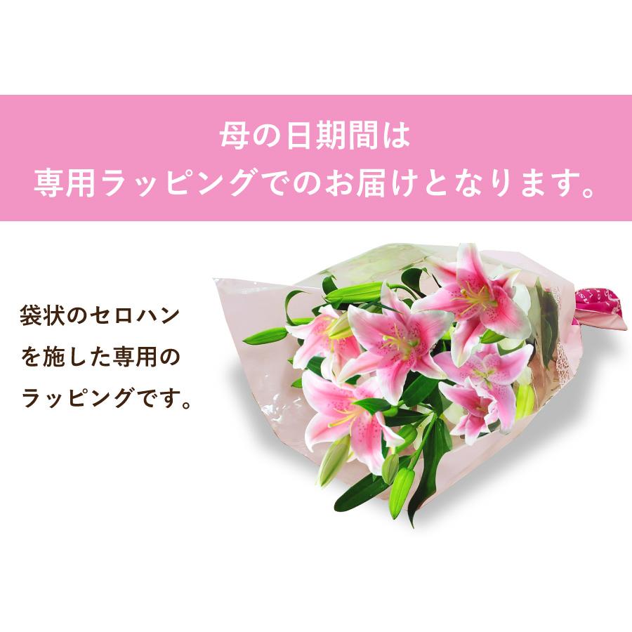 エーデルワイス花の贈り物 誕生日 花束 プレゼント ユリ 百合 エーデルワイス花の贈り物 誕生日 花束 プレゼント ユリ 百合