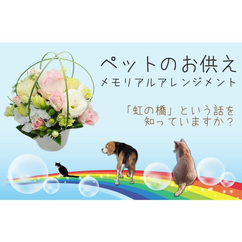 ペット お供え 花 贈る お悔やみ花 お供え花 供花 犬 わんちゃん 供 ねこ ネコ アレンジメント メモリアルアレンジメント 翌日配達 | エーデルワイス花の贈り物 | 03