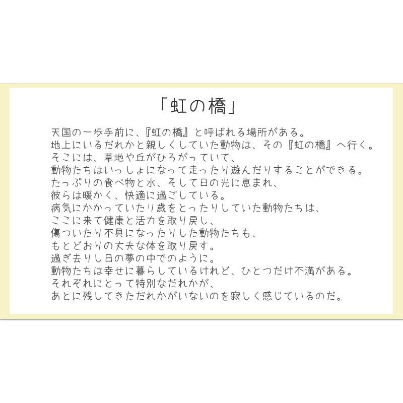 ペット お供え 花 贈る お悔やみ花 お供え花 供花 犬 わんちゃん 供 ねこ ネコ アレンジメント メモリアルアレンジメント 翌日配達 | エーデルワイス花の贈り物 | 05