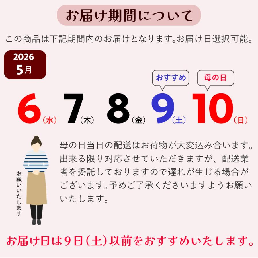 母の日 ギフト カーネーション 花  ははの日 2026 生花 60代 70代 80代 フラワーギフト 25色から選べる 産地直送 カーネーション5号鉢 スタンダード 25色 | エーデルワイス花の贈り物 | 37
