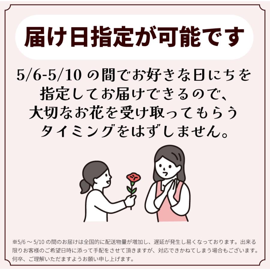 母の日 まだ間に合う 2026 日付指定可能 花 ギフト カーネーション 鉢植え スタンダード 5号 25色から選べる 産地直送 生花 2026母の日 60代 70代 80代 | エーデルワイス花の贈り物 | 28
