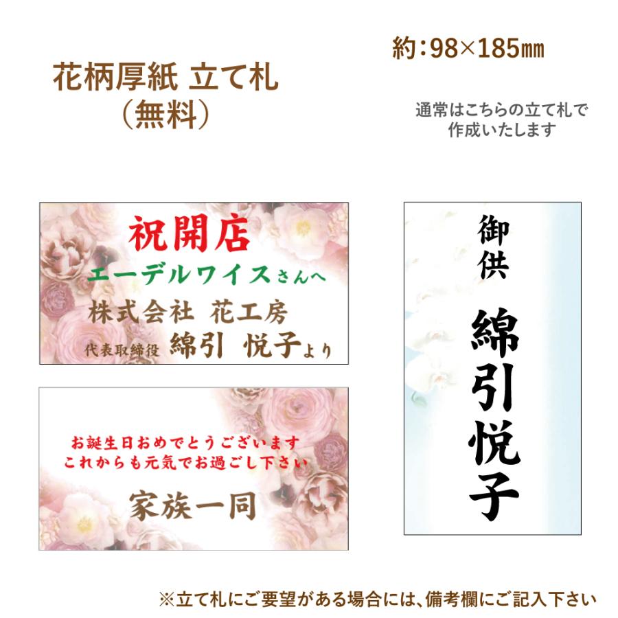 開店祝 花 胡蝶蘭 3本立 ピンク Lサイズ 鉢 花 ギフト 洋ラン | エーデルワイス花の贈り物 | 13