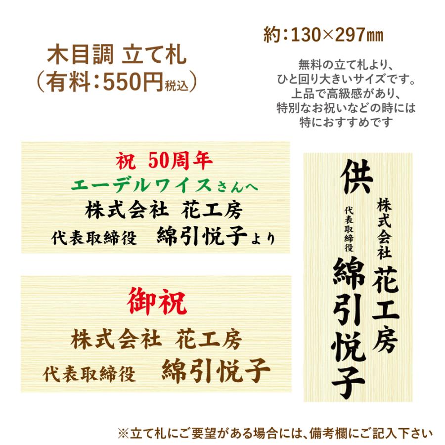 開店祝 花 胡蝶蘭 3本立 ピンク Lサイズ 鉢 花 ギフト 洋ラン | エーデルワイス花の贈り物 | 14