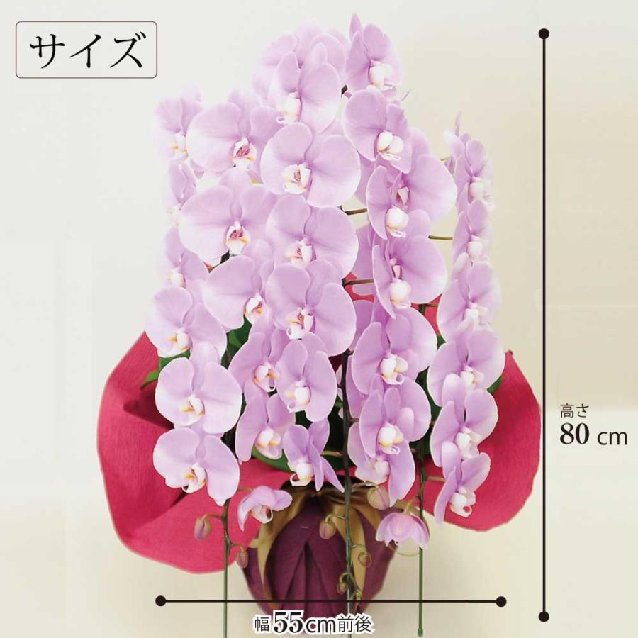 お祝い 花 開業 開店 法人祝い 胡蝶蘭 3本立 ピンク 3Lサイズ 洋ラン 鉢 花 ギフト | エーデルワイス花の贈り物 | 04