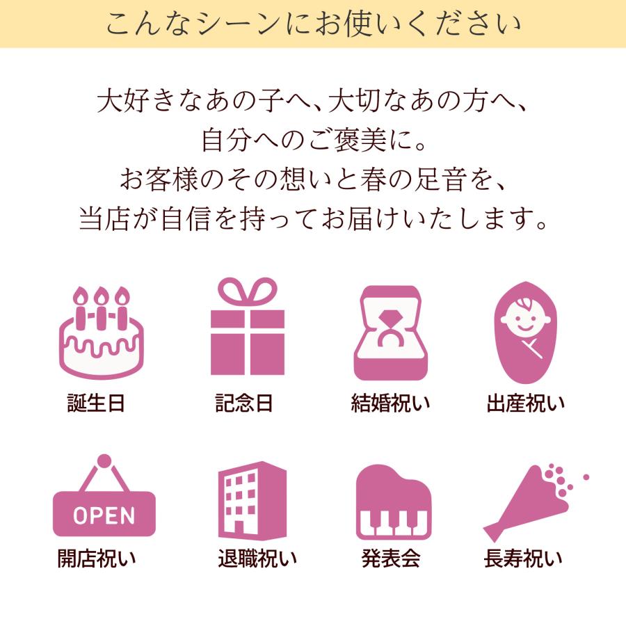 ホワイトデー 卒業祝 入学祝 就職祝 退職祝 プレゼント 合格 入学 送別 退職   誕生日 プレゼント チューリップ 花束  お祝い 春の花束 Mサイズ | エーデルワイス花の贈り物 | 06