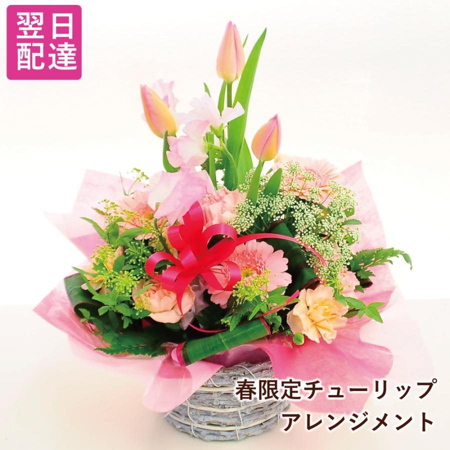 チューリップ フラワーアレンジメント ギフト 生花 誕生日 合格 入学 卒業式 卒園 お祝い スプリングミックスM | エーデルワイス花の贈り物