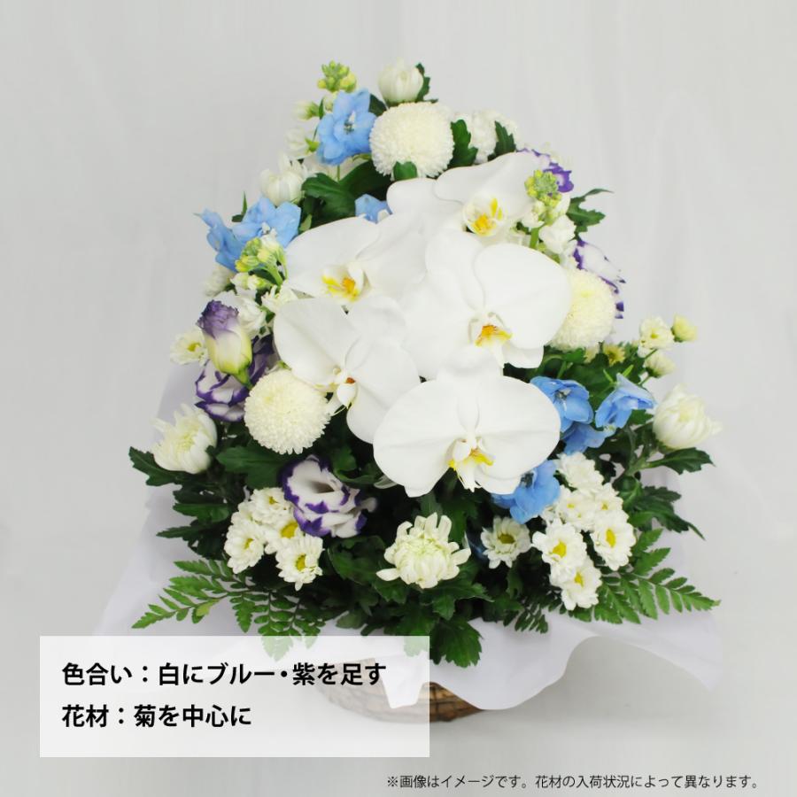お供え 供花 仏壇 フラワーアレンジメント  生花  一周忌 命日 三回忌 四十九日 法事 法要 蘭のお供え花アレンジメント M | エーデルワイス花の贈り物 | 09