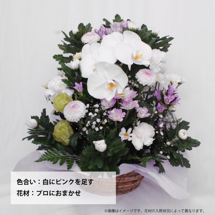 お供え 供花 仏壇 フラワーアレンジメント  生花  一周忌 命日 三回忌 四十九日 法事 法要 蘭のお供え花アレンジメント M | エーデルワイス花の贈り物 | 10