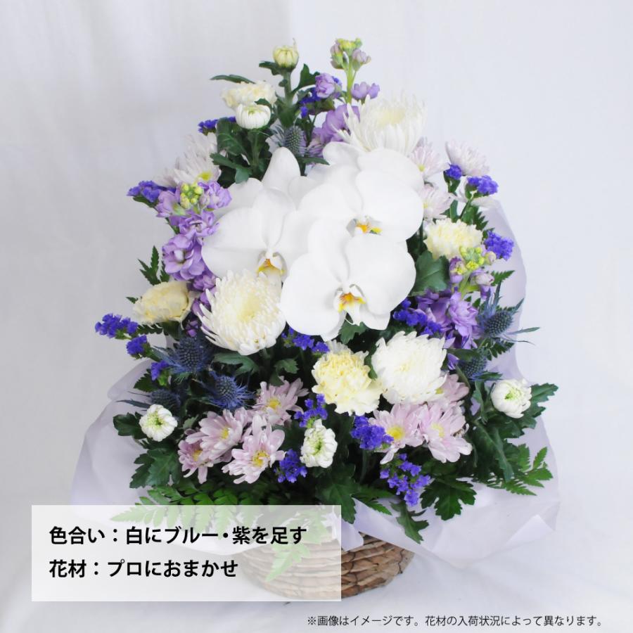 お供え 供花 仏壇 フラワーアレンジメント  生花  一周忌 命日 三回忌 四十九日 法事 法要 蘭のお供え花アレンジメント M | エーデルワイス花の贈り物 | 11