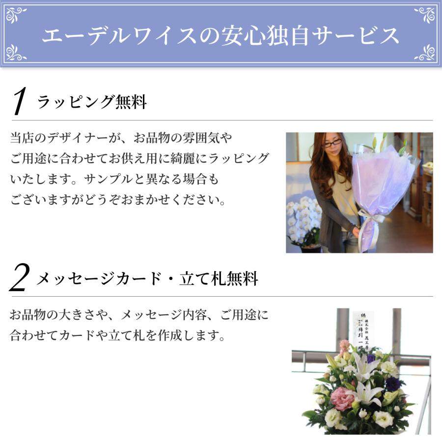 お供え 供花 仏壇 フラワーアレンジメント  生花 一周忌 命日 三回忌 四十九日 法事 法要 蘭のお供え花アレンジメント M | エーデルワイス花の贈り物 | 11