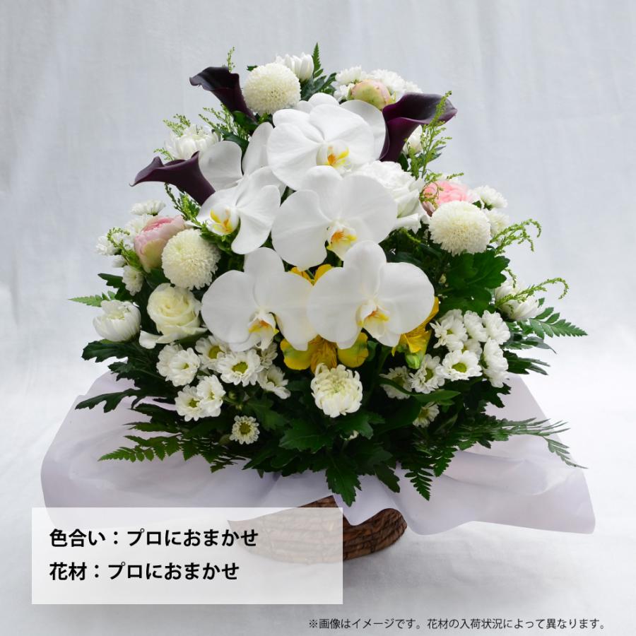 お供え 供花 仏壇 フラワーアレンジメント  生花  一周忌 命日 三回忌 四十九日 法事 法要 蘭のお供え花アレンジメント M | エーデルワイス花の贈り物 | 14
