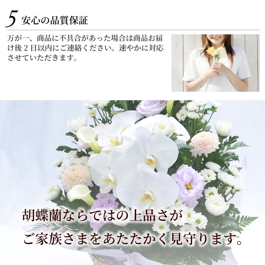 お供え 供花 仏壇 フラワーアレンジメント  生花 一周忌 命日 三回忌 四十九日 法事 法要 蘭のお供え花アレンジメント M | エーデルワイス花の贈り物 | 13