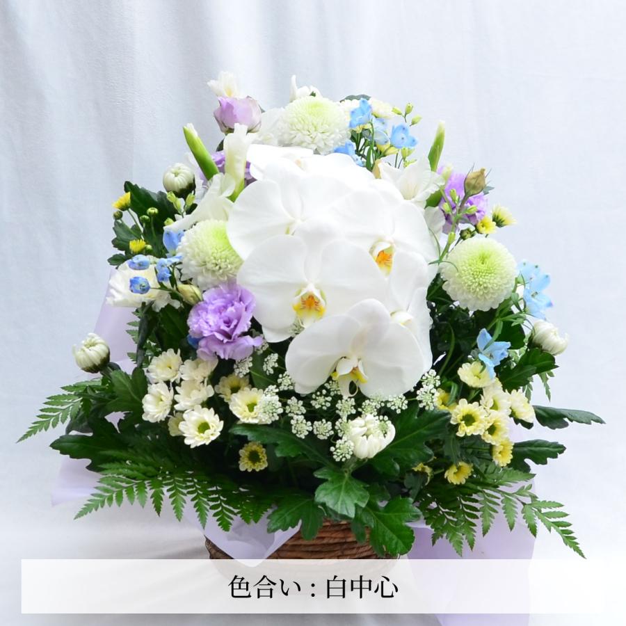 エーデルワイス花の贈り物 春のお彼岸 お供え 供花 仏壇 フラワー