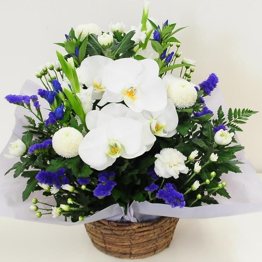 お供え 供花 仏壇 フラワーアレンジメント  生花  一周忌 命日 三回忌 四十九日 法事 法要 蘭のお供え花アレンジメント M | エーデルワイス花の贈り物 | 01