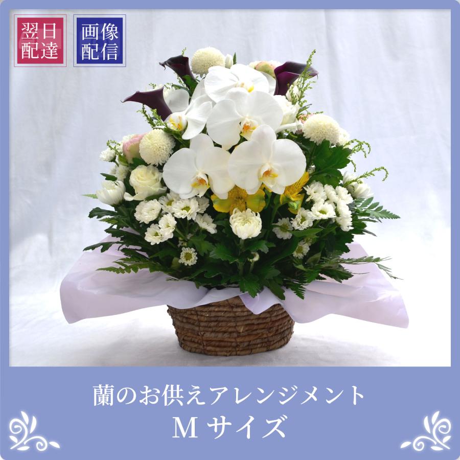 エーデルワイス花の贈り物 春のお彼岸 お供え 供花 仏壇 フラワー