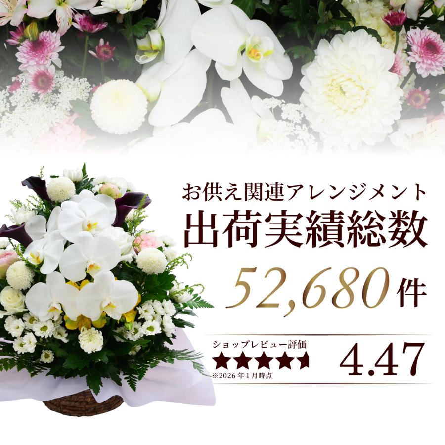 お供え 供花 仏壇 フラワーアレンジメント  生花 一周忌 命日 三回忌 四十九日 法事 法要 蘭のお供え花アレンジメント M | エーデルワイス花の贈り物 | 02