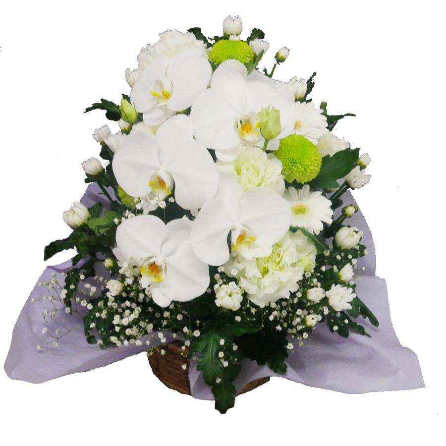 お供え 供花 仏壇 フラワーアレンジメント  生花  一周忌 命日 三回忌 四十九日 法事 法要 蘭のお供え花アレンジメント M | エーデルワイス花の贈り物 | 05