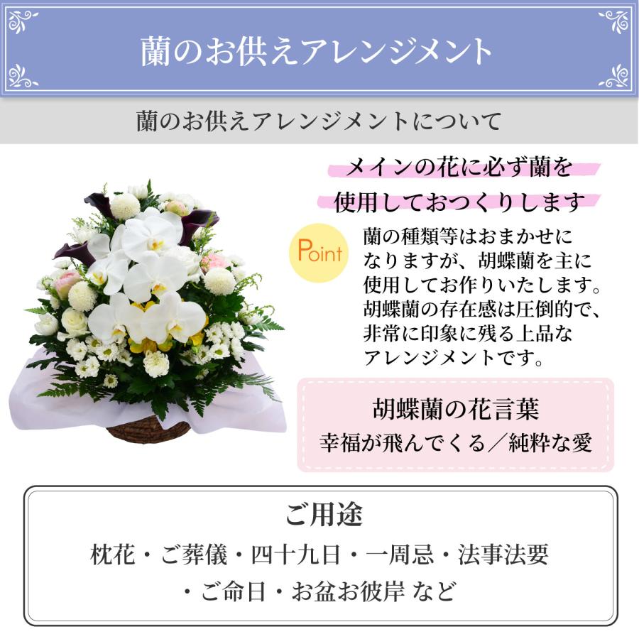 お供え 供花 仏壇 フラワーアレンジメント  生花 一周忌 命日 三回忌 四十九日 法事 法要 蘭のお供え花アレンジメント M | エーデルワイス花の贈り物 | 06